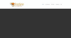 Desktop Screenshot of anodyneeng.com